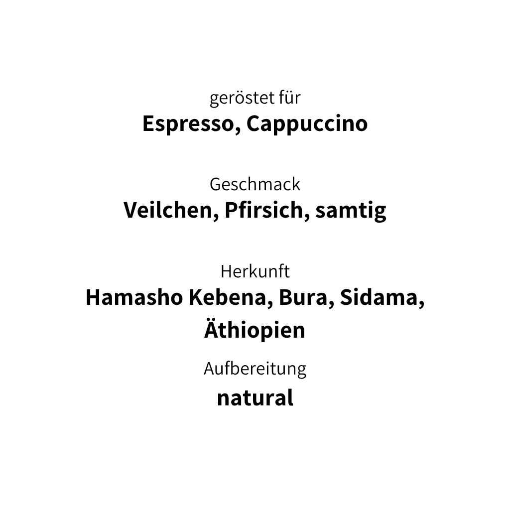 Hamasho_Hard_Facts