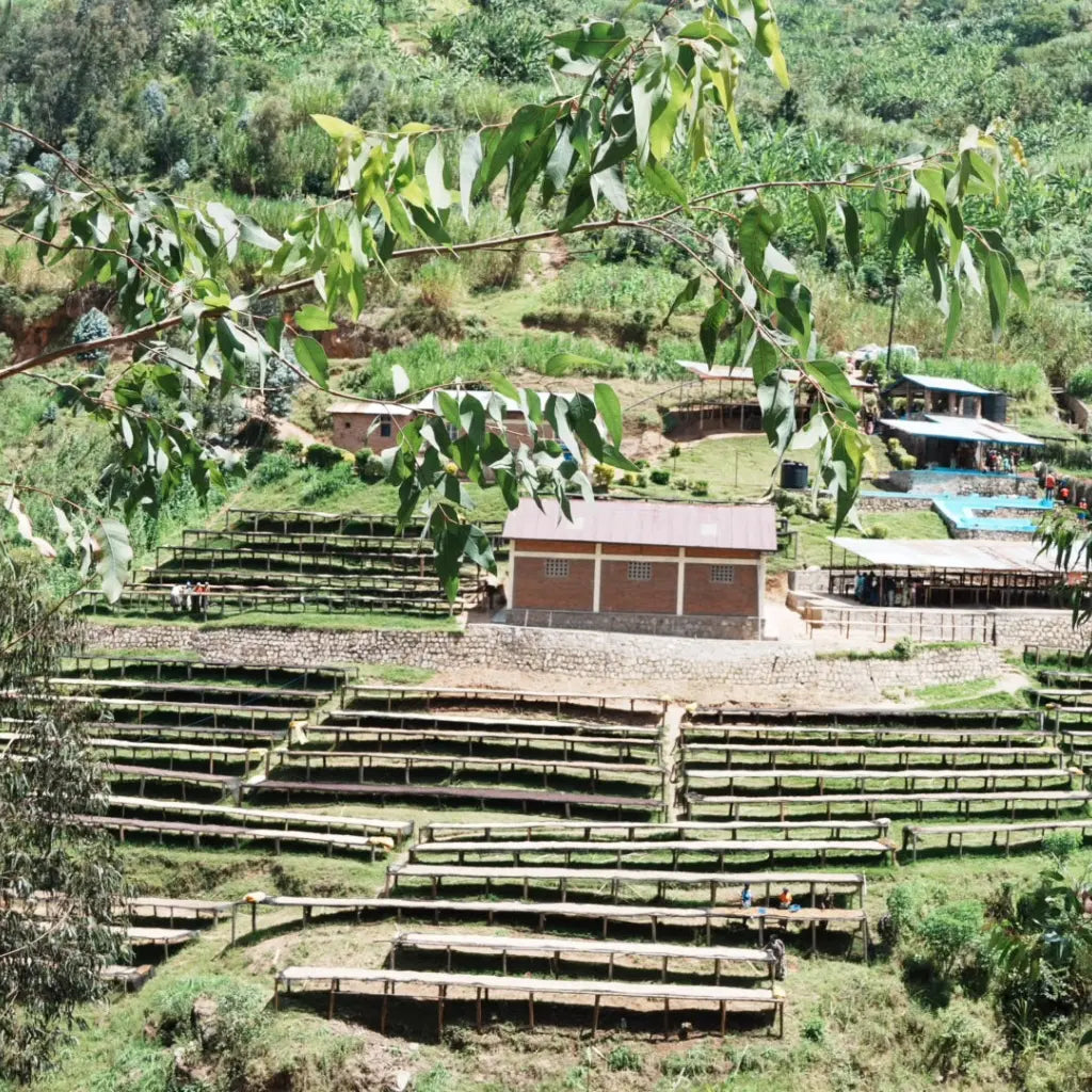 Shyira - Espresso aus Ruanda