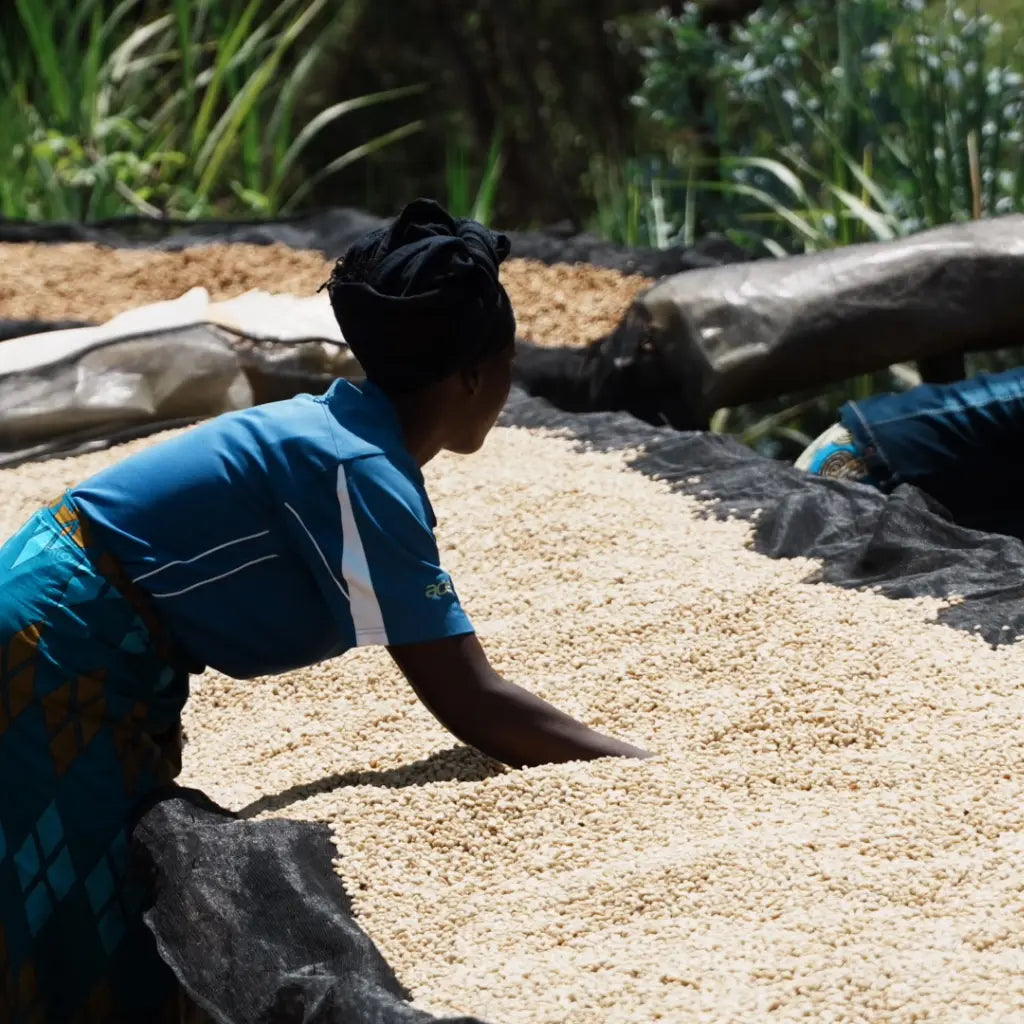 Shyira - Espresso aus Ruanda