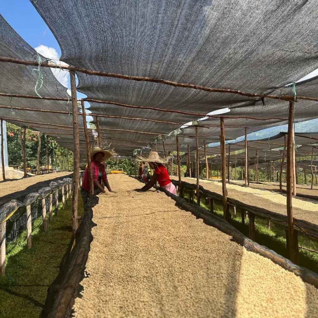 Duwancho Dry beds