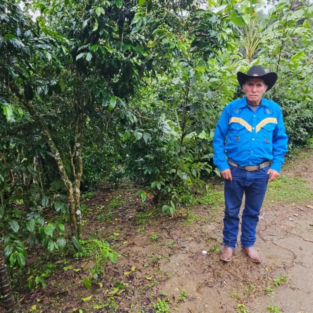 La Conserva – Espresso aus Guatemala