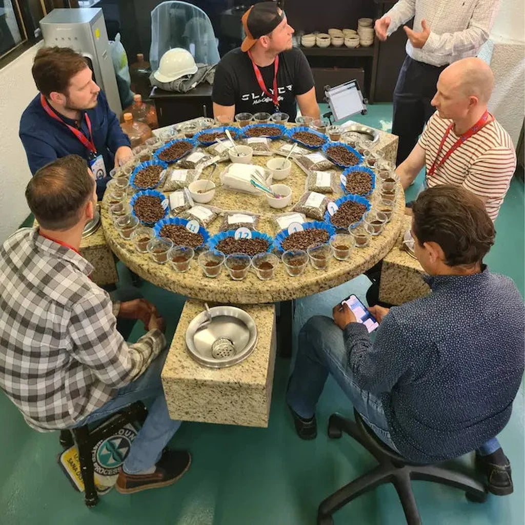sueno cupping